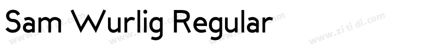 Sam Wurlig Regular字体转换